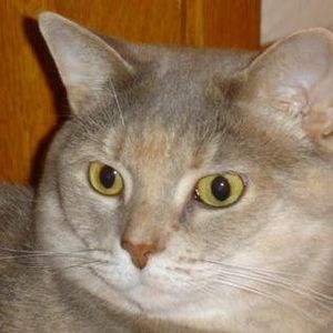 Meet your Posher, Lyn